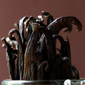 Premium Vanilla Beans